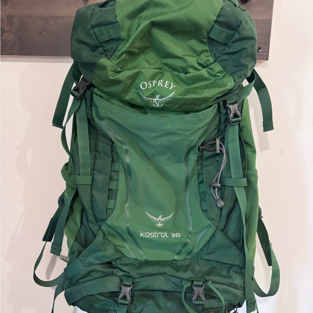 OSPREY Kestrel 38 Men's Forest Green Backpack